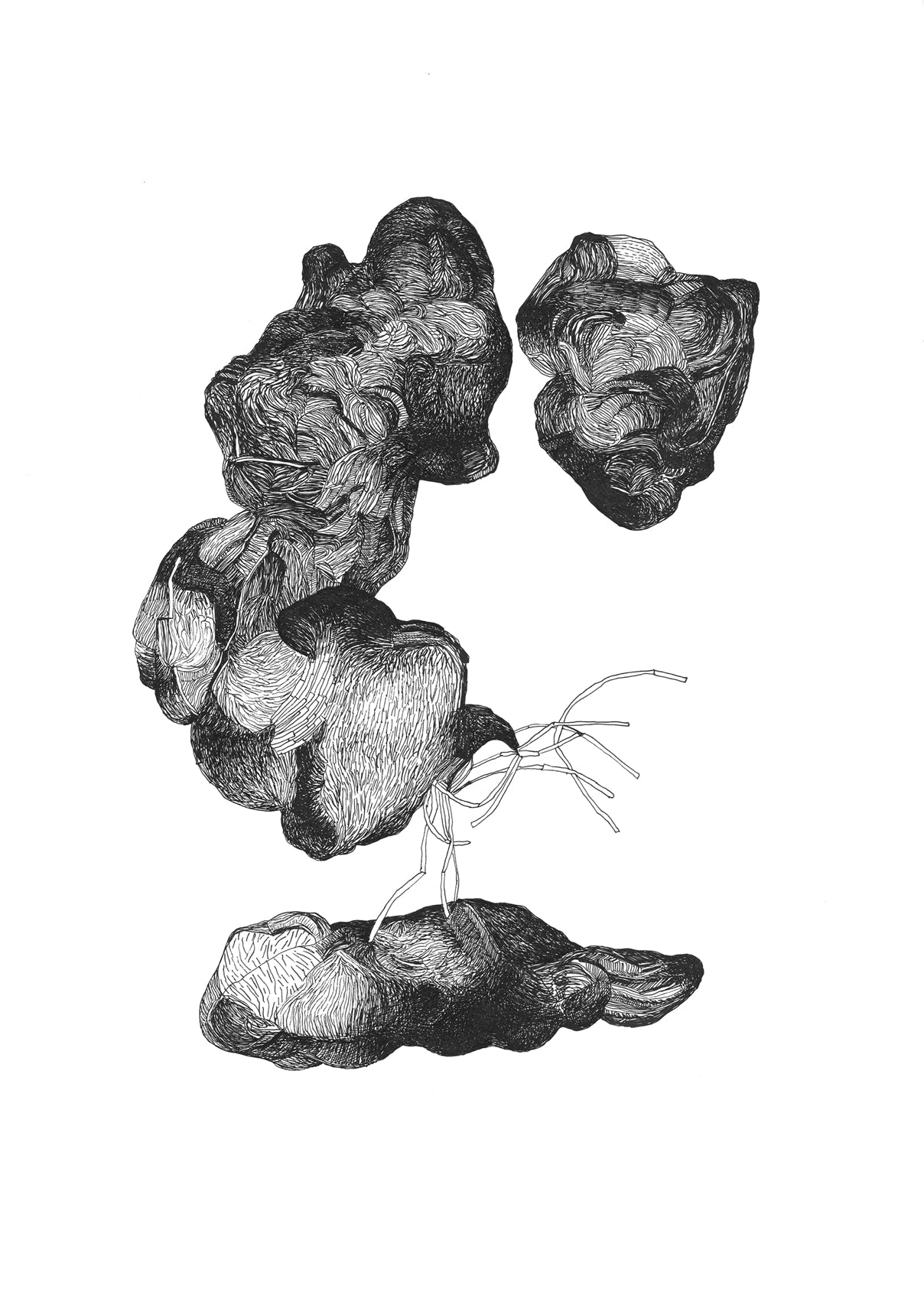 Dessin contemporain abstrait, 2025, Roubaix